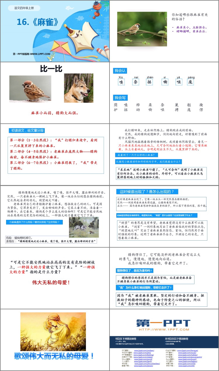 图片[2]-《麻雀》PPT优质课件-第一PPT