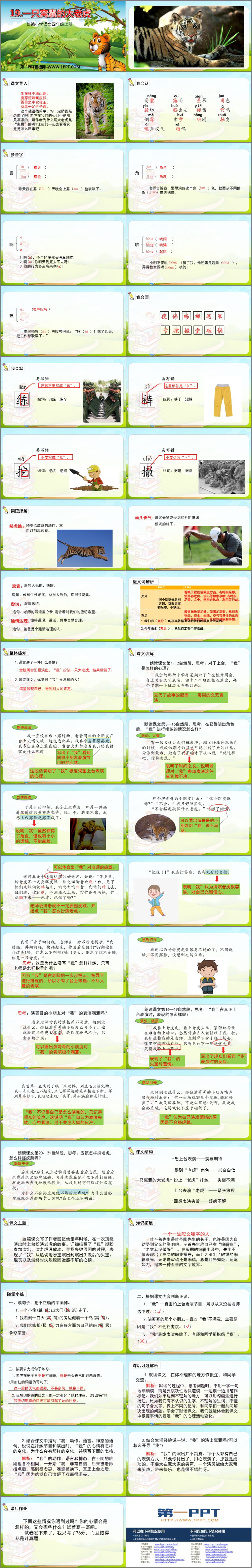 图片[2]-一只窝囊的大老虎-第一PPT