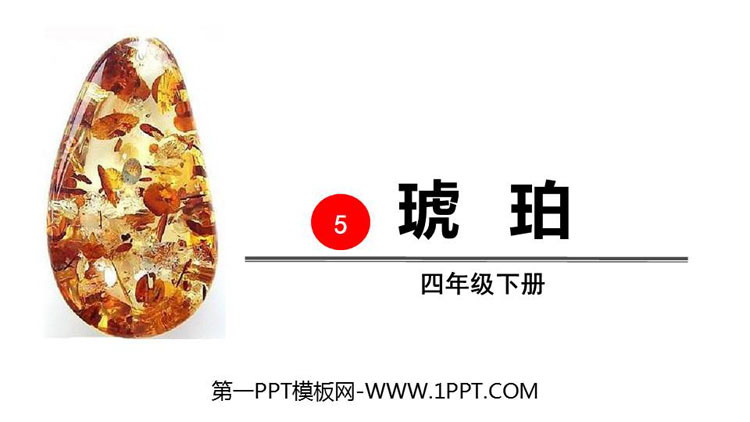 图片[1]-《琥珀》PPT教学课件-第一PPT