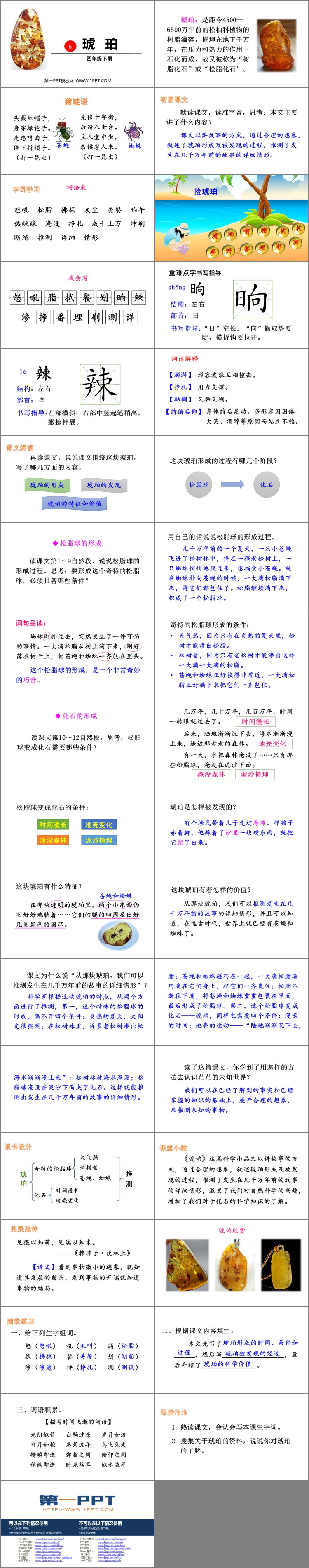 图片[2]-《琥珀》PPT教学课件-第一PPT