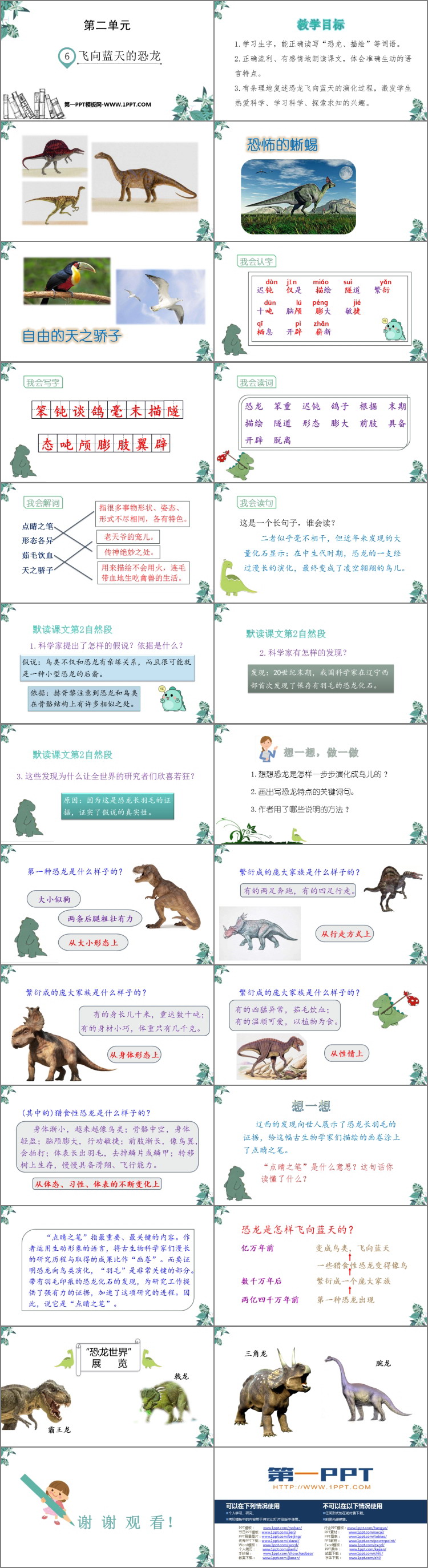 图片[2]-《飞向蓝天的恐龙》PPT教学课件-第一PPT