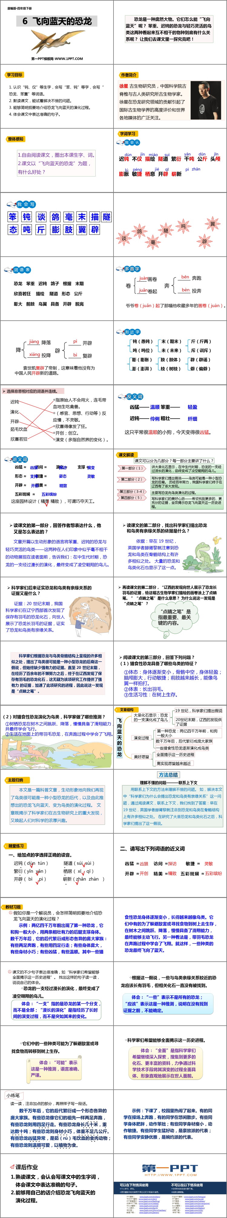 图片[2]-《飞向蓝天的恐龙》PPT精品课件-第一PPT