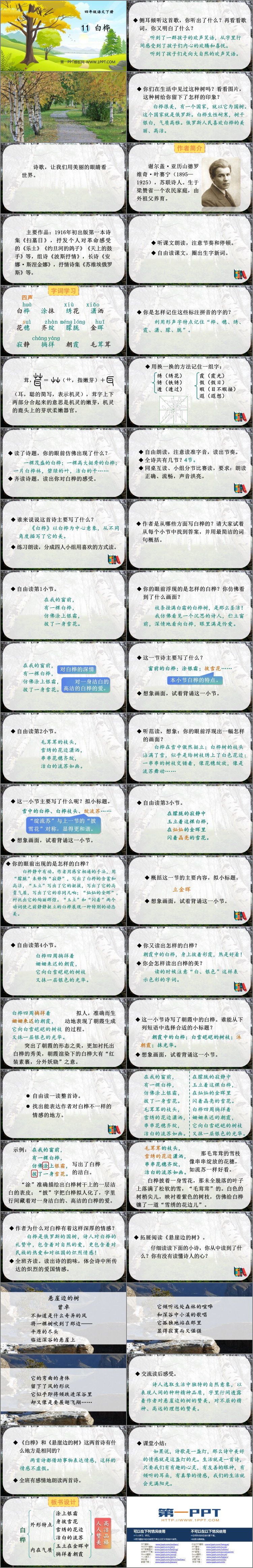 图片[2]-《白桦》PPT教学课件-第一PPT