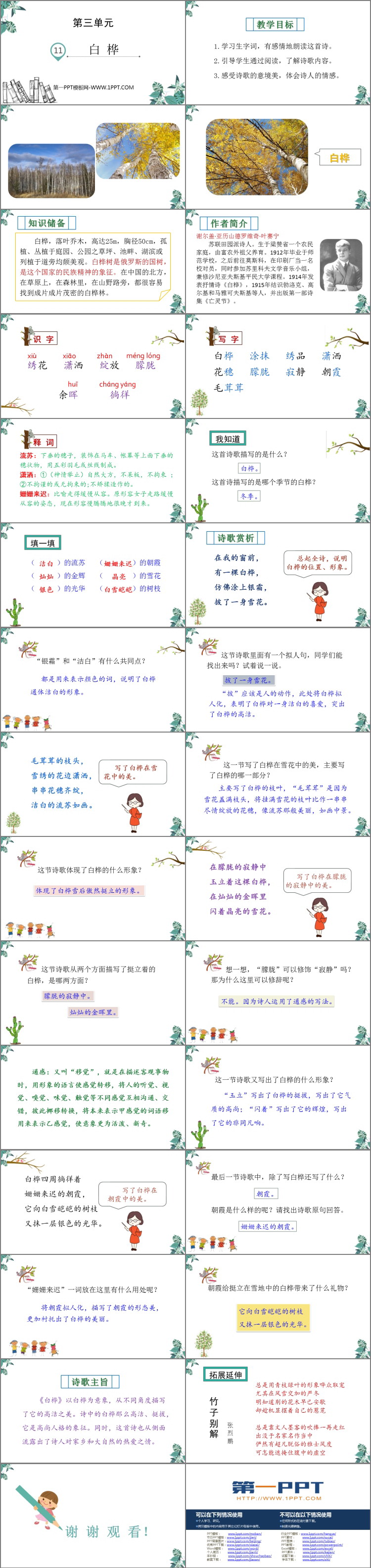图片[2]-《白桦》PPT免费下载-第一PPT