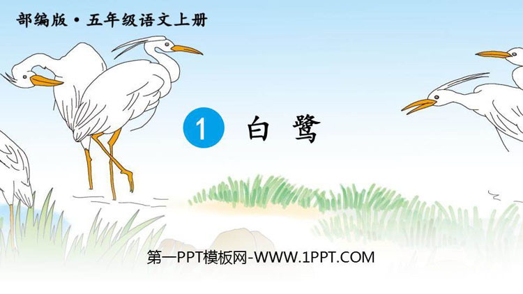图片[1]-《白鹭》PPT优秀课件-第一PPT