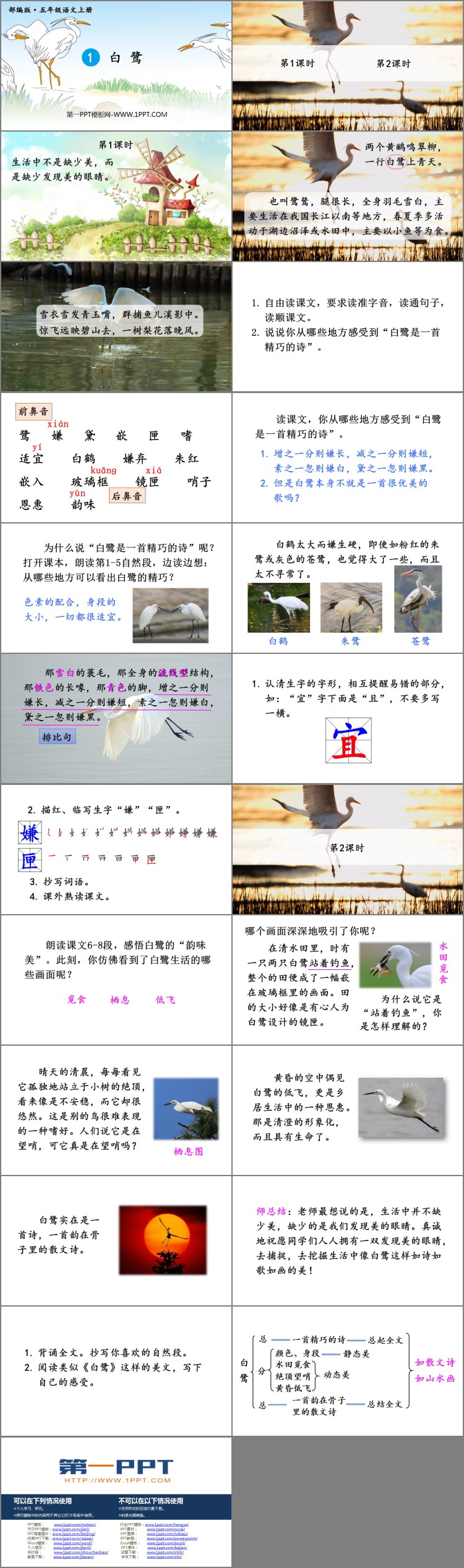 图片[2]-《白鹭》PPT优秀课件-第一PPT