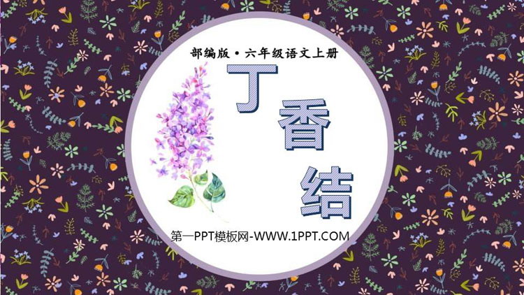 图片[1]-《丁香结》PPT优秀课件-第一PPT
