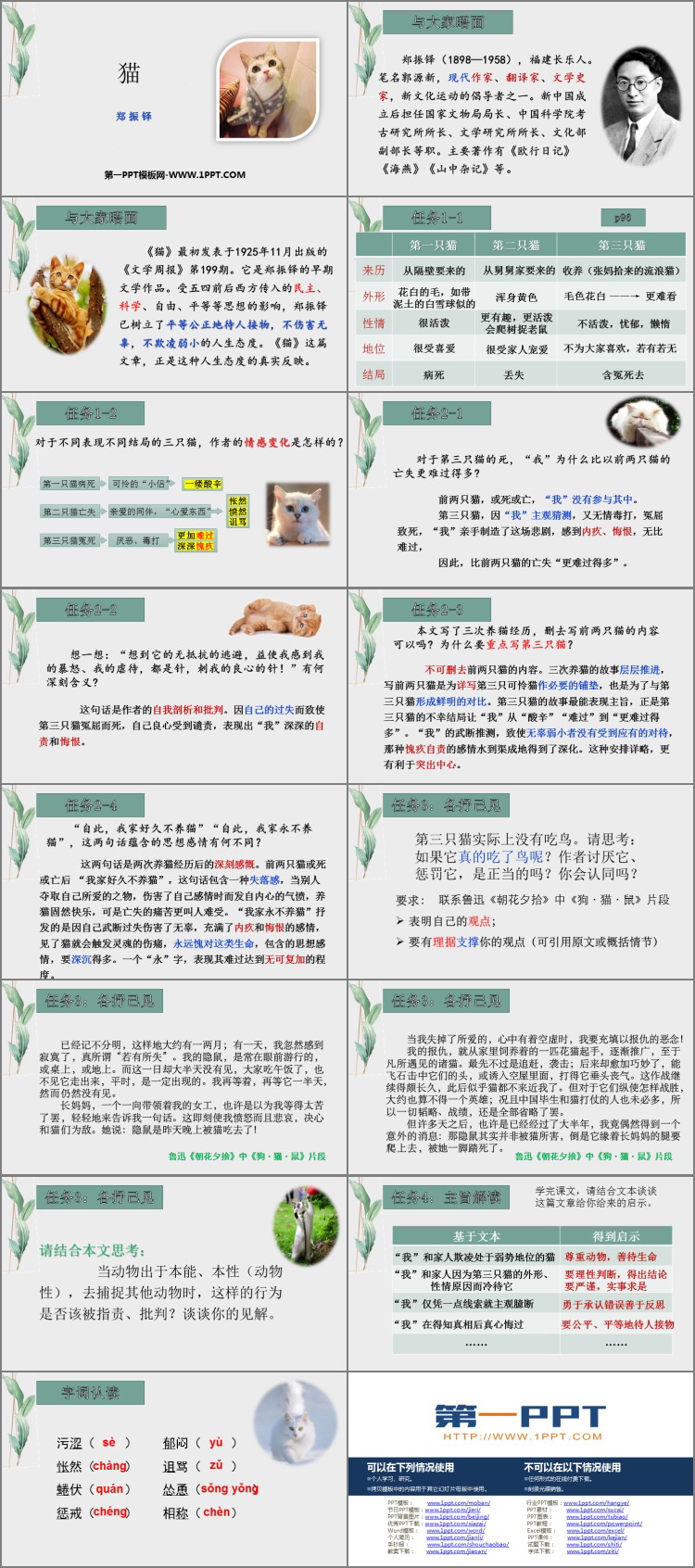 图片[2]-《猫》PPT教学课件下载-第一PPT