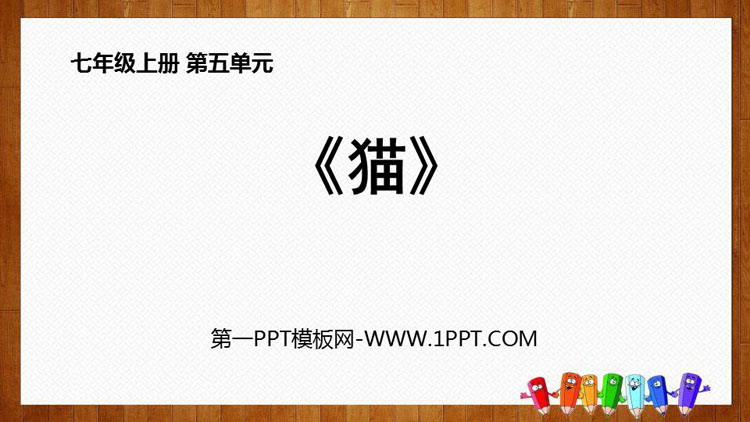 图片[1]-《猫》PPT免费教学课件-第一PPT