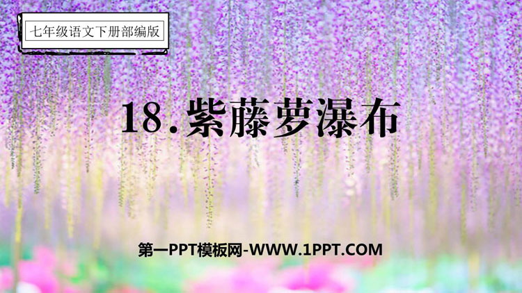 图片[1]-《紫藤萝瀑布》PPT优秀课件下载-第一PPT