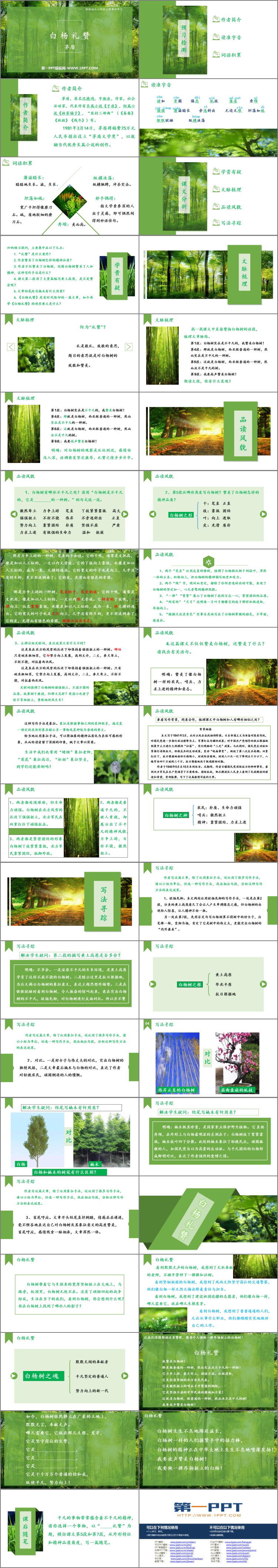 图片[2]-《白杨礼赞》PPT优秀教学课件-第一PPT