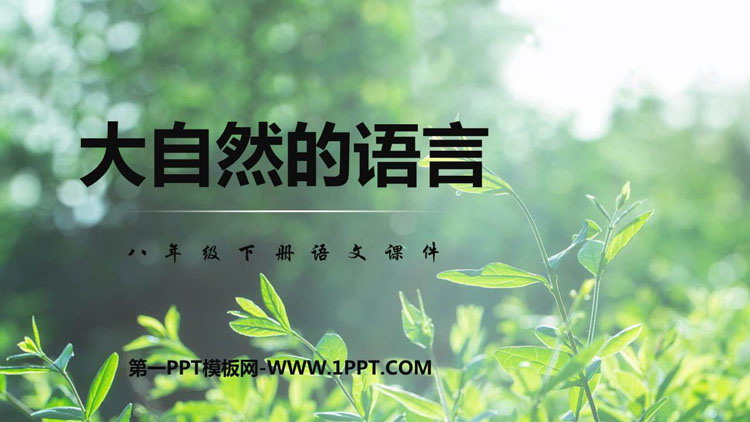 图片[1]-《大自然的语言》PPT优质课件下载-第一PPT