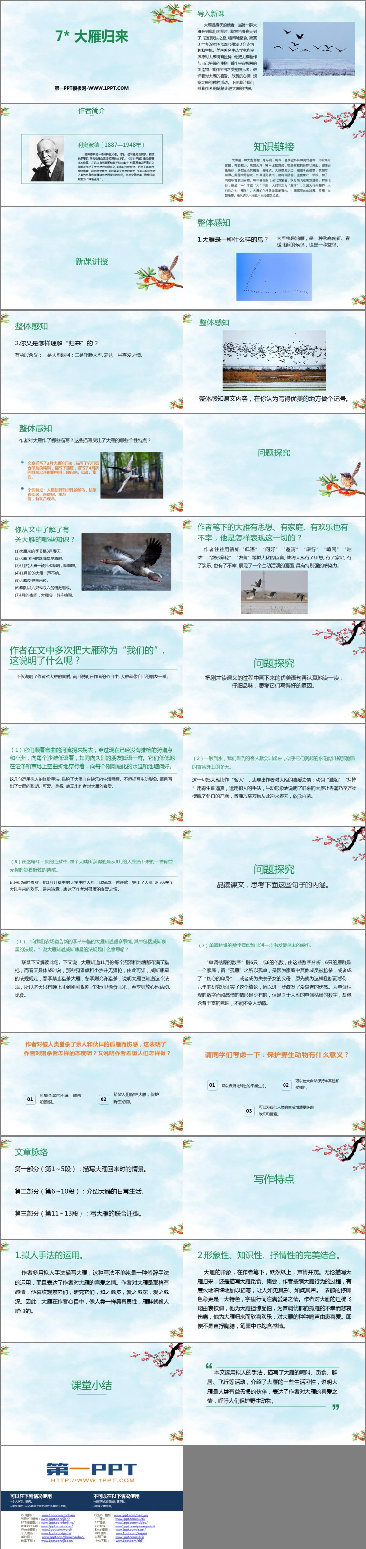 图片[2]-《大雁归来》PPT优秀课件-第一PPT