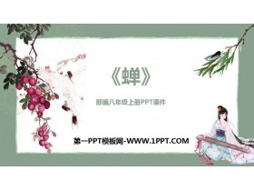 《蝉》PPT免费课件下载-第一PPT
