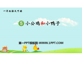 《小公鸡和小鸭子》PPT免费下载-第一PPT