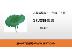 《荷叶圆圆》PPT课件(第2课时)-第一PPT