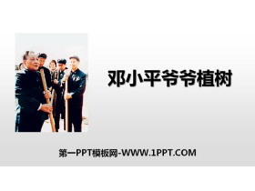 《邓小平爷爷植树》PPT免费课件-第一PPT