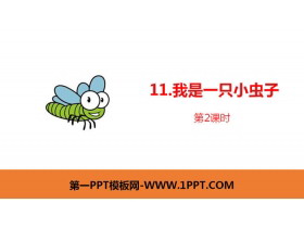 《我是一只小虫子》PPT课件(第2课时)-第一PPT