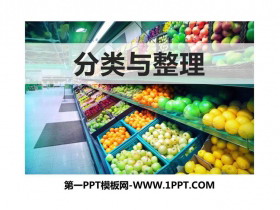 《分类与整理》PPT优质课件-第一PPT