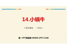 《小蜗牛》PPT优质课件-第一PPT