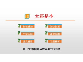 《大还是小》PPT优质课件-第一PPT