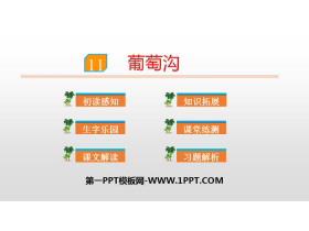 《葡萄沟》PPT课件下载-第一PPT