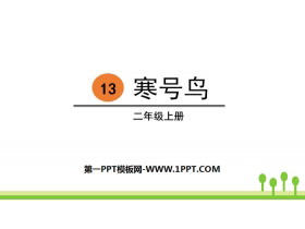 《寒号鸟》PPT优秀课件-第一PPT