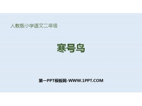 《寒号鸟》PPT精品课件-第一PPT