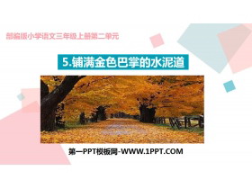 《铺满金色巴掌的水泥道》PPT课件下载-第一PPT