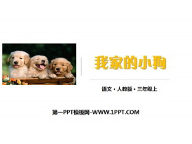 《我家的小狗》PPT课件-第一PPT