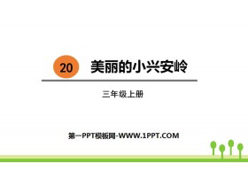 《美丽的小兴安岭》PPT优秀课件-第一PPT