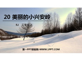 《美丽的小兴安岭》PPT精品课件-第一PPT