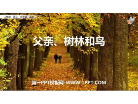 《父亲、树林和鸟》PPT优质课件-第一PPT