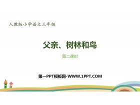 《父亲、树林和鸟》PPT课件(第2课时)-第一PPT