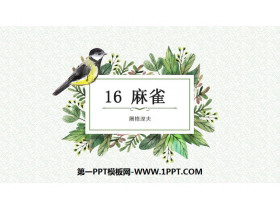 《麻雀》PPT下载-第一PPT
