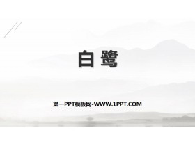 《白鹭》PPT免费课件-第一PPT