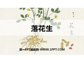 《落花生》PPT优秀课件-第一PPT