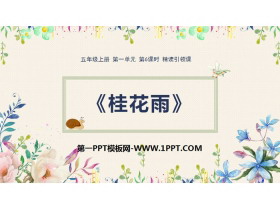 《桂花雨》PPT优秀课件-第一PPT
