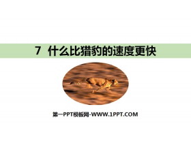 《什么比猎豹的速度更快》PPT免费课件-第一PPT