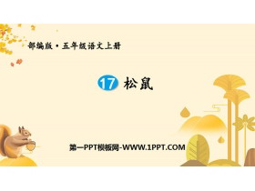 《松鼠》PPT优秀课件-第一PPT