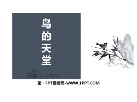 《鸟的天堂》PPT优秀课件-第一PPT