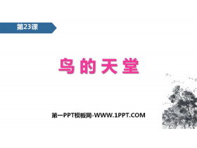 《鸟的天堂》PPT免费课件-第一PPT