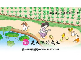 《夏天里的成长》PPT优秀课件-第一PPT