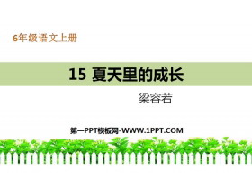 《夏天里的成长》PPT教学课件-第一PPT