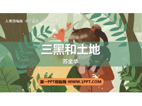《三黑和土地》PPT优秀课件-第一PPT