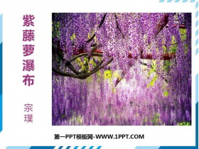 《紫藤萝瀑布》PPT课文课件下载-第一PPT