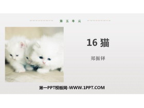 《猫》PPT优质课件-第一PPT