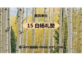 《白杨礼赞》PPT课文课件-第一PPT