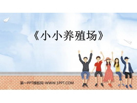 《小小养殖场》生活中的数PPT精品课件-第一PPT