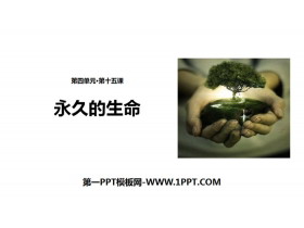 《永久的生命》PPT下载-第一PPT